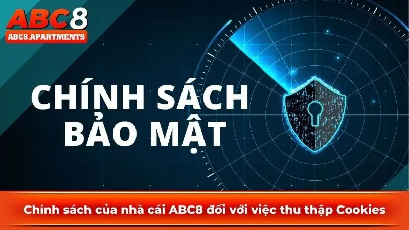 Tìm hiểu những thông tin được quyền thu thập tại nhà cái