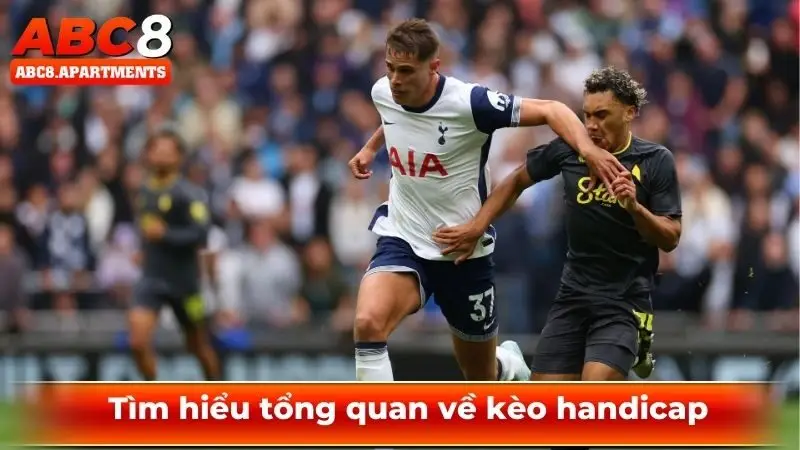 Kèo handicap - Hướng dẫn đọc kèo bất bại hiệu quả đến 99,9% 1 Tìm hiểu tổng quan về kèo handicap